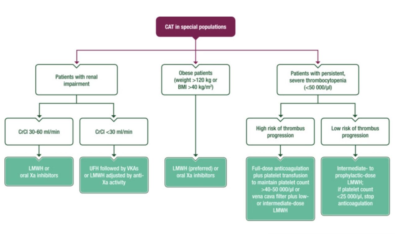 Oncology Brothers About Guidelines for "Special" Circumstances
