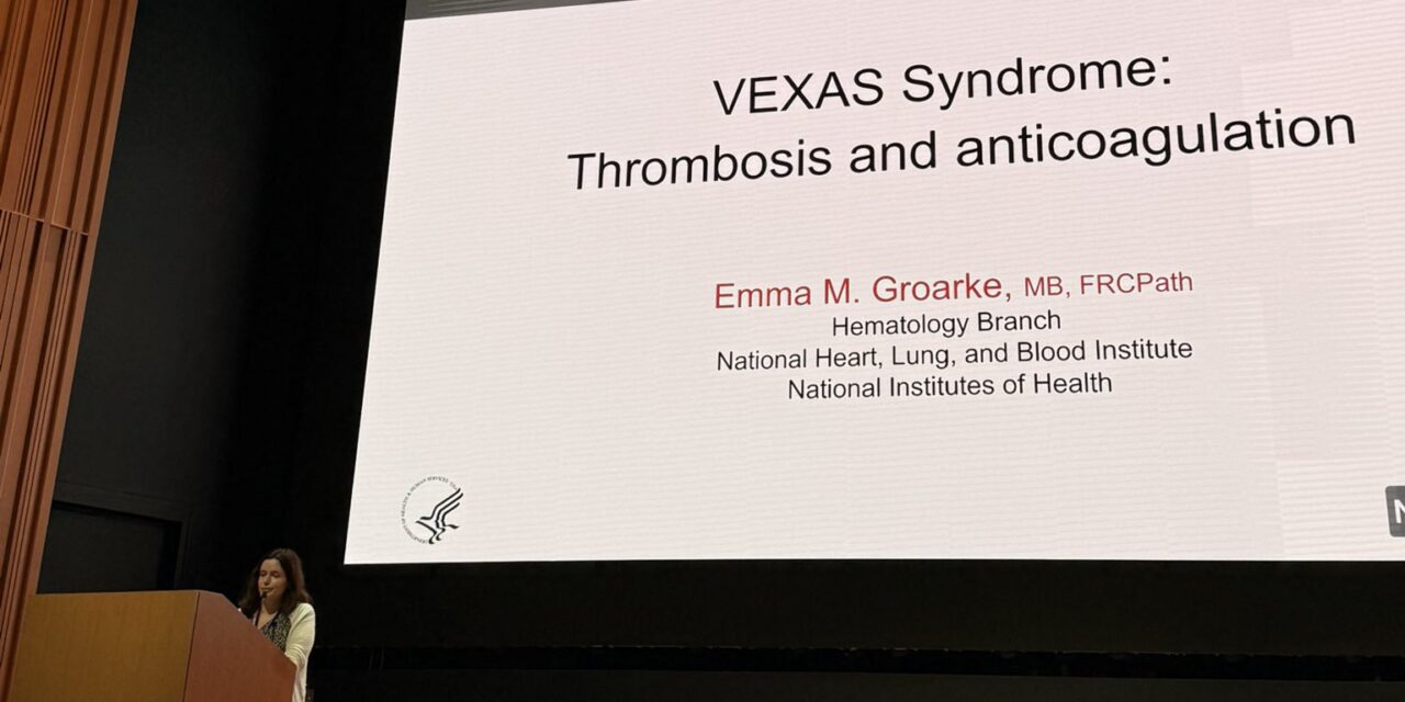 Fernanda Gutierrez-Rodrigues: 2nd VEXAS Workshop has Ended and It was an Amazing Time