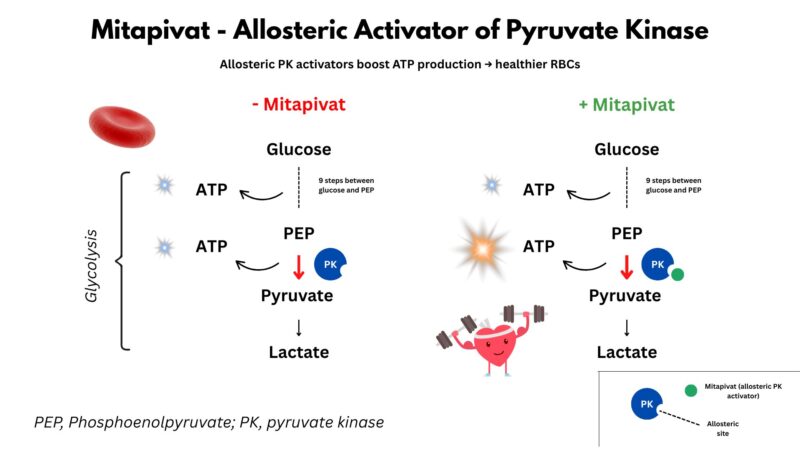 Mitapivat 