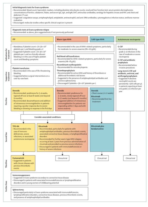 Evans Syndrome
