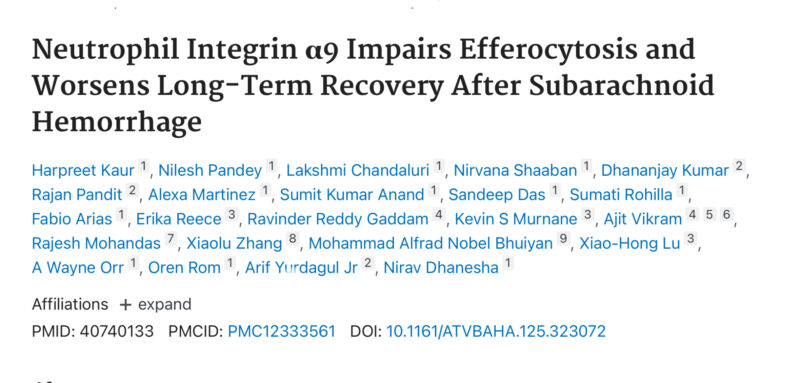 Nirav Dhanesha and LSU Health Shreveport Team Discover Neutrophil Integrin α9 as a Key Target in Subarachnoid Hemorrhage Recovery