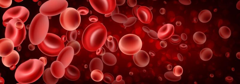 Albert Farrugia Applauds Matthew Hotchko: The Best, If Not The Only, Reliable Source of Information on The Plasma Industry!