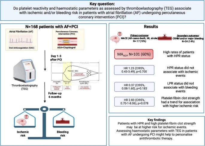 Christoph B Olivier's Team Explores Platelet Reactivity and Fibrin Clot-Strength in AF