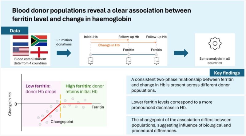 A Clear 2-Phase Relationship Between Ferritin Levels and Hb Recovery Revealed by Amber Meulenbeld and Colleagues