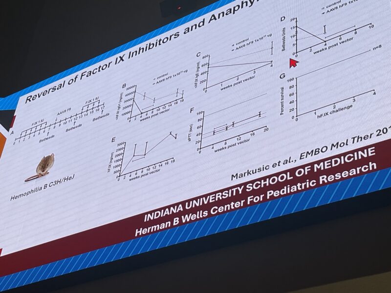Flora Peyvandi Shares BIC 2025 Coverage of Hemostasis & Thrombosis: 10 Posts Not To Miss