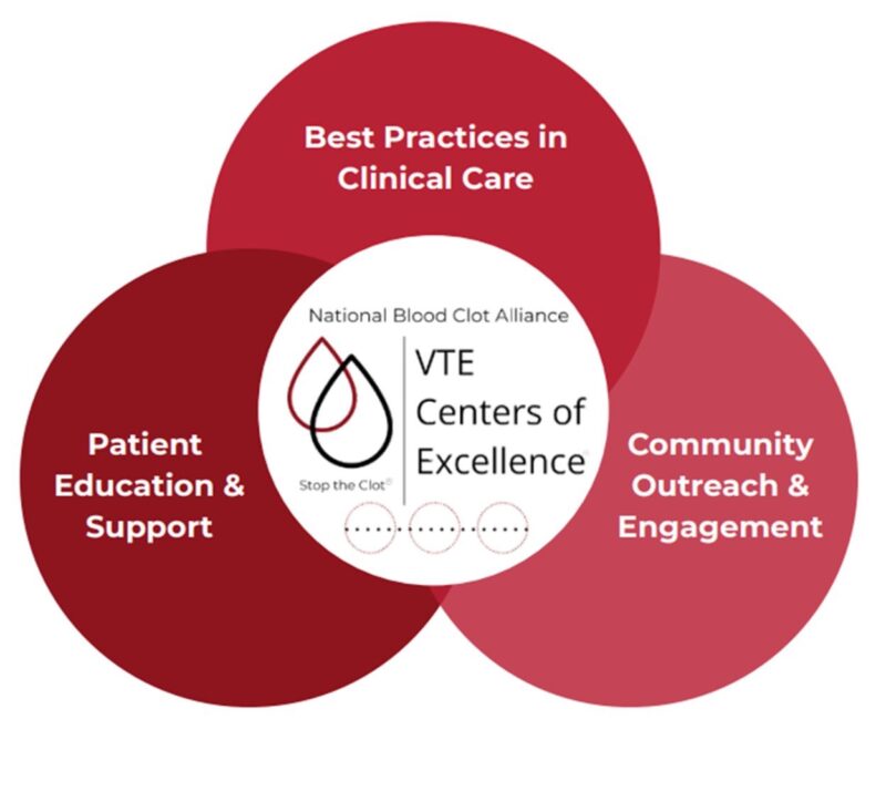 Erin VanDyke on How National Blood Clot Alliance Centers of Excellence Standardize Pathways, Strengthen Communication, and Improve Education