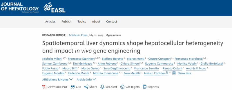 Hepatocytes