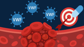 Von Willebrand Factor as a Therapeutic Target․ From Development to Clinical Application