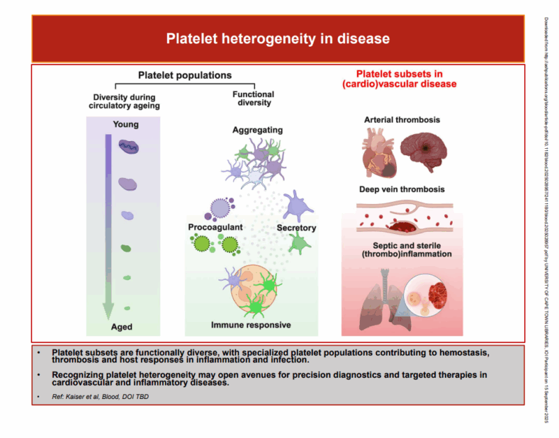 Platelet heterogeneity