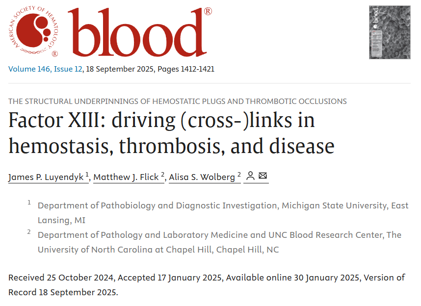 Alisa Wolberg Shares a Newest Review Published in Blood on Coagulation Factor XIII