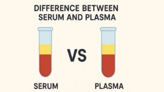 Omar Adwan Explains the Key Difference Between Serum and Plasma