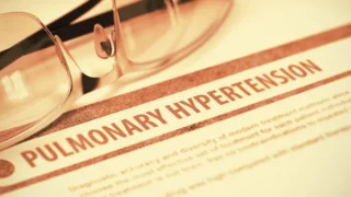 Fibroblast Activation Protein: A New Driver of Pulmonary Hypertension