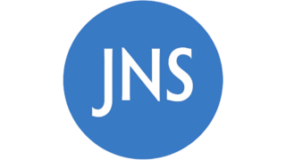 Endoscopic Endonasal Approach in Intracranial Aneurysms: Insights from 40 Cases