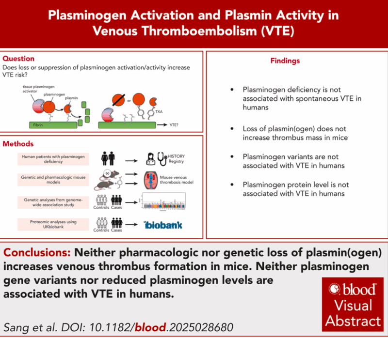 Plasmin Activity