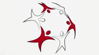 Emicizumab Approvals in Europe: European Haemophilia Consortium Shares Key Updates