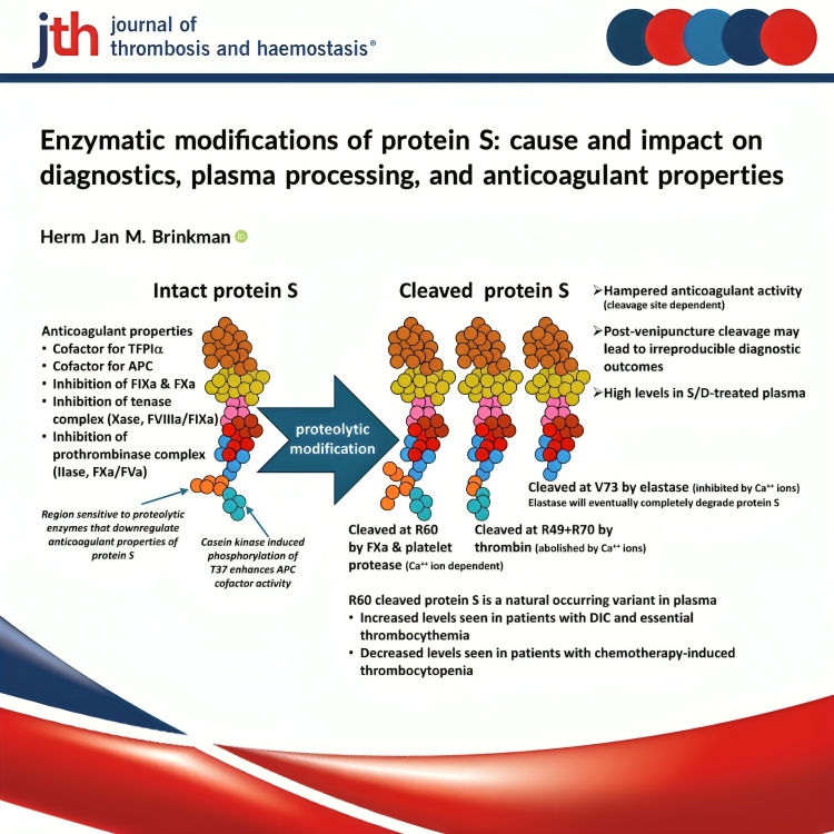 Protein S