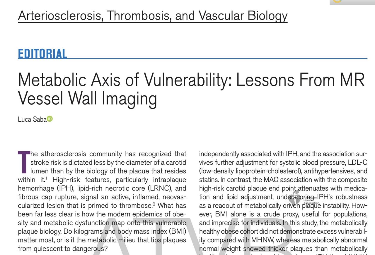 Luca Saba on Metabolic Axis of Vulnerability: Insights From MR Vessel Wall Imaging