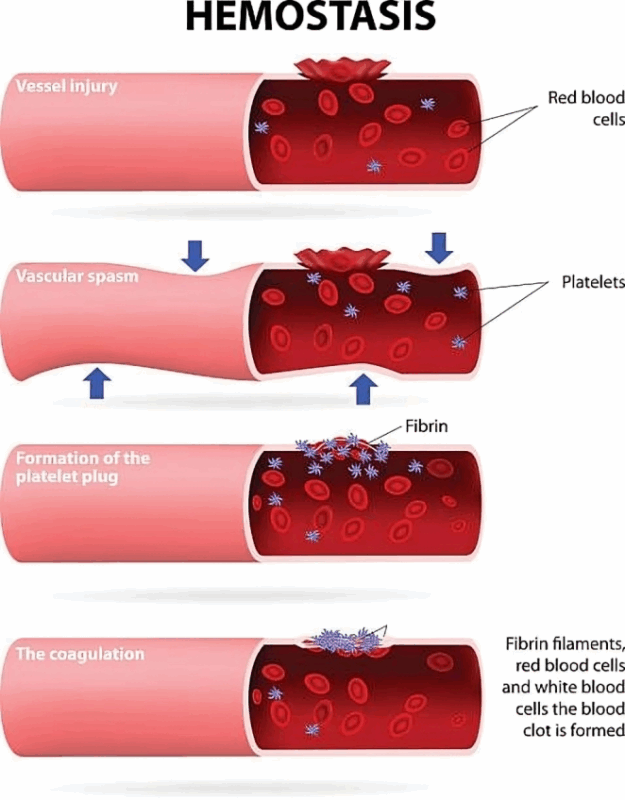Hemostasis