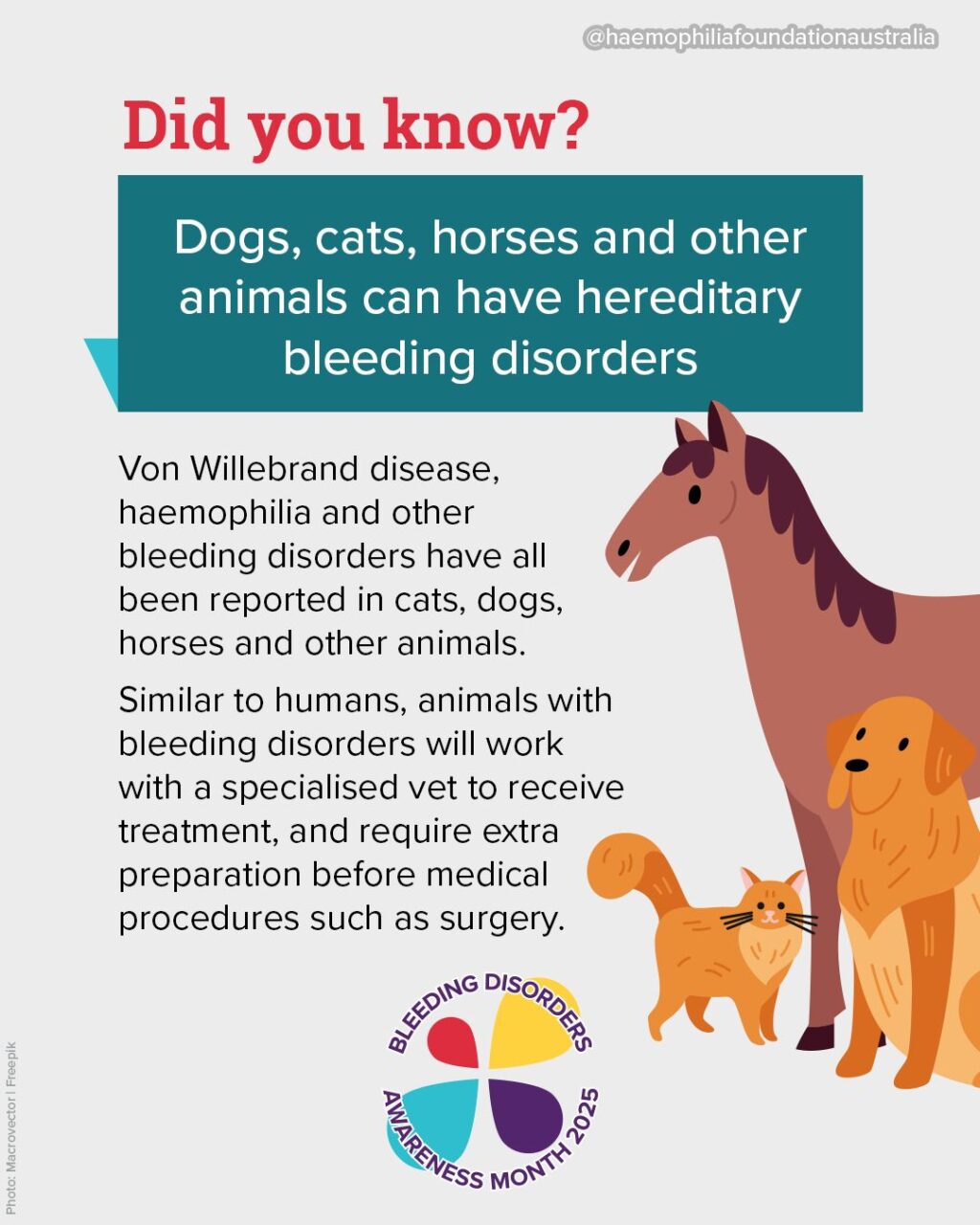 Haemophilia Foundation Australia: Animals Can Have Bleeding Disorders Too!