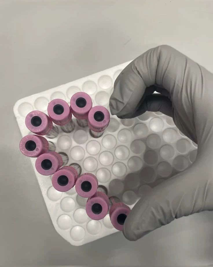 Ritu Upadhyay: Hematology is a World of Stories Hidden in Every Drop of Blood