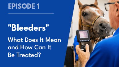 Alberto Rullan Posted the First Episode of "Bleeders"!
