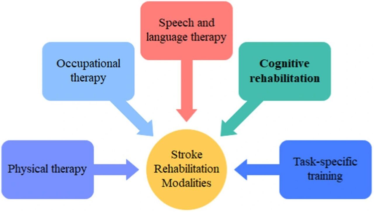 Dr. Hassan Alnoor — Stroke Rehabilitation and Prevention: Life After Stroke 1 Dr. Hassan Alnoor — Stroke Rehabilitation and Prevention: Life After Stroke