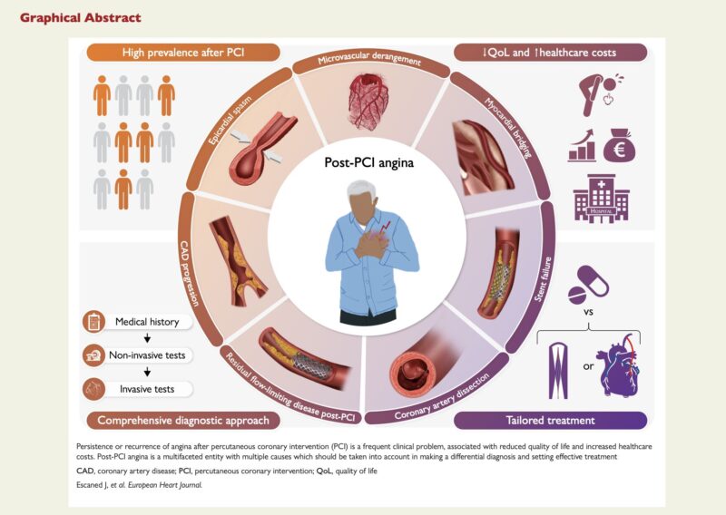 State of the Art Review On Angina After PCI From Javier Escaned's Team