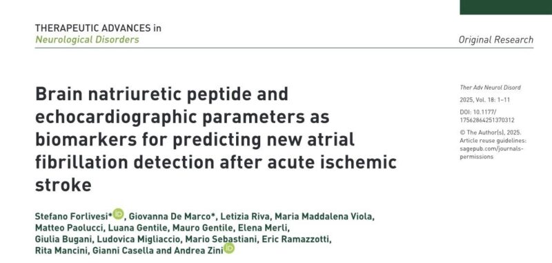 Andrea Zini on Atrial Fibrillation Detection After Acute Ischemic Stroke