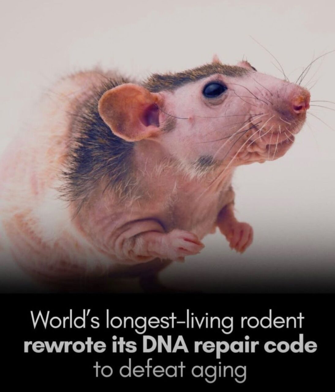 Dr. Hemant M.: As a Medical Professional, I Find This Discovery Nothing Short of Fascinating