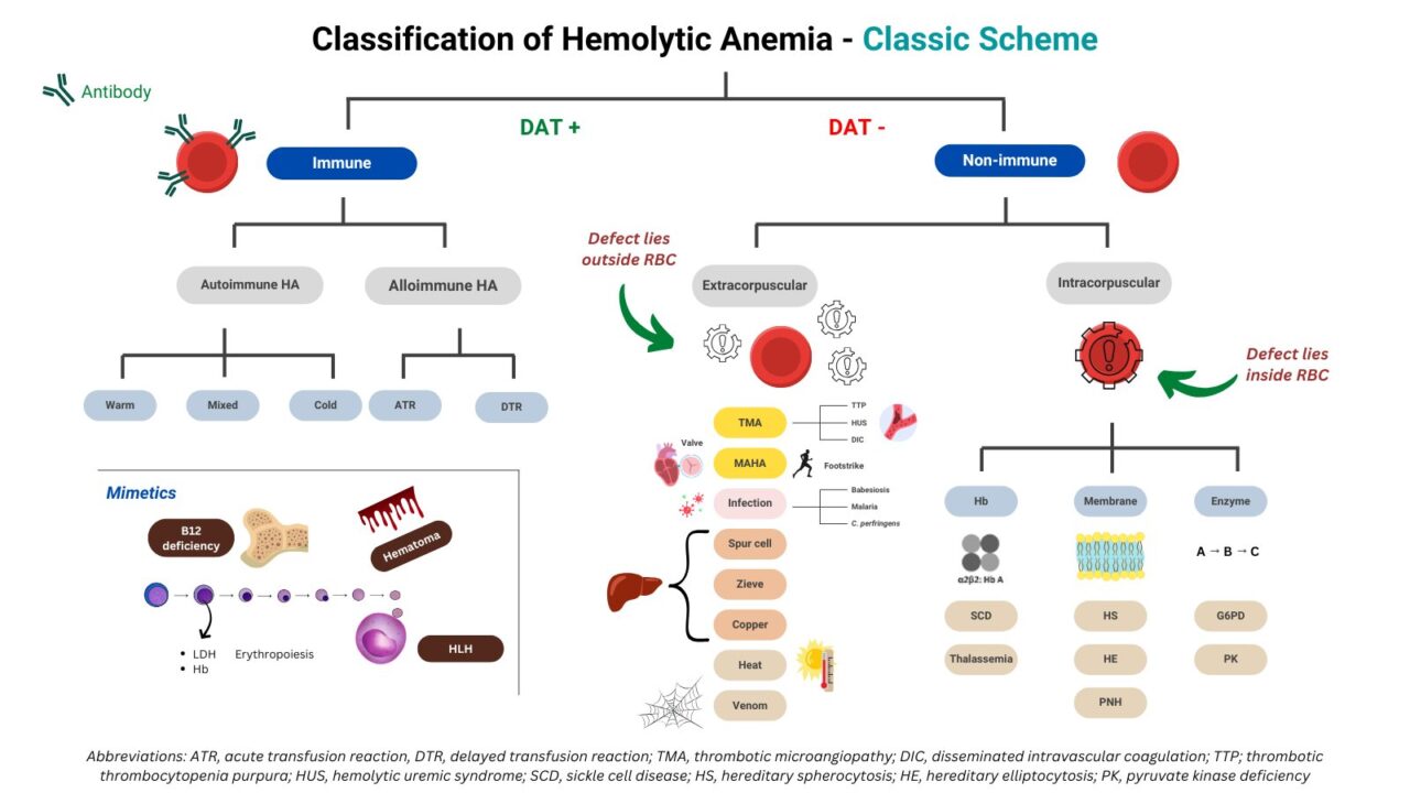 William Aird: Rethinking Hemolysis Classification