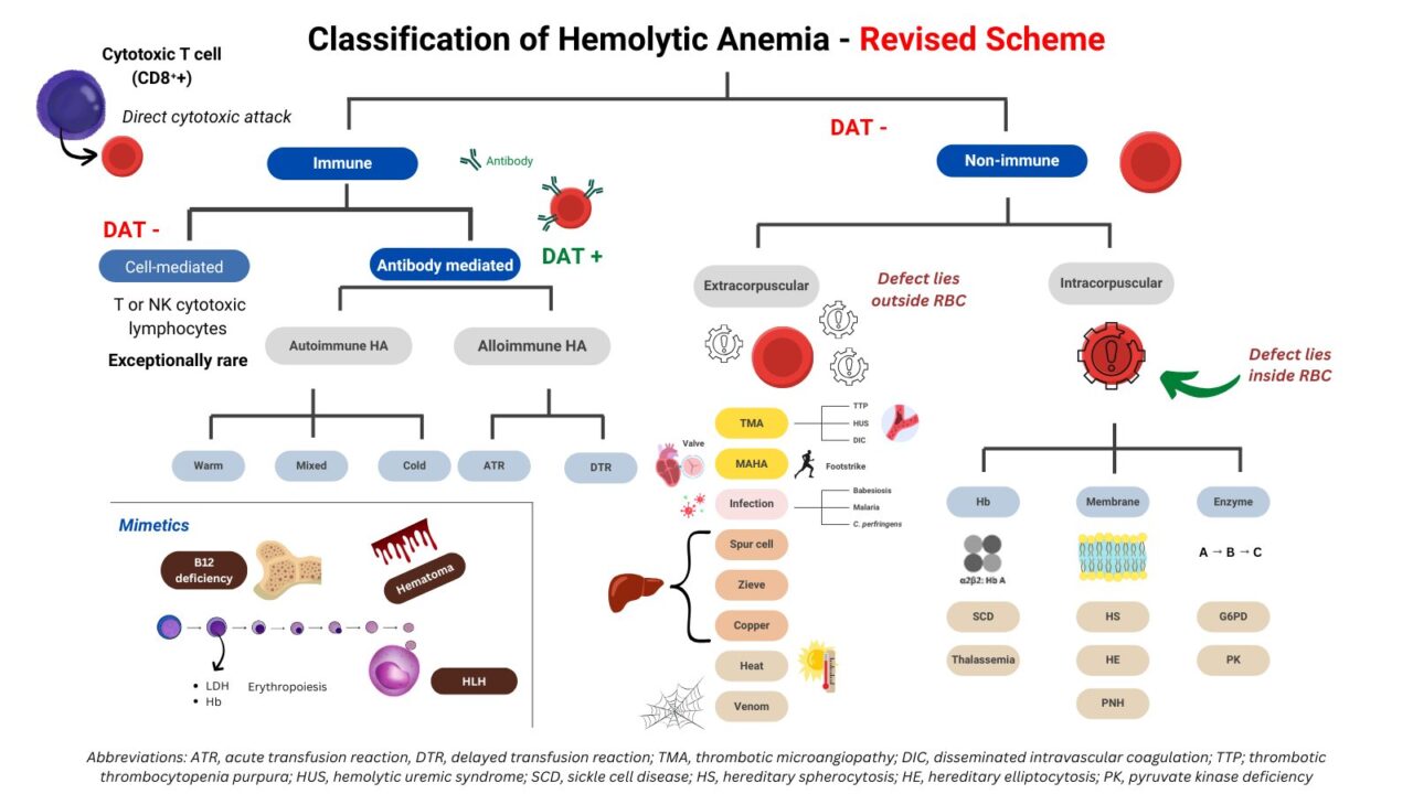 William Aird: Rethinking Hemolysis Classification