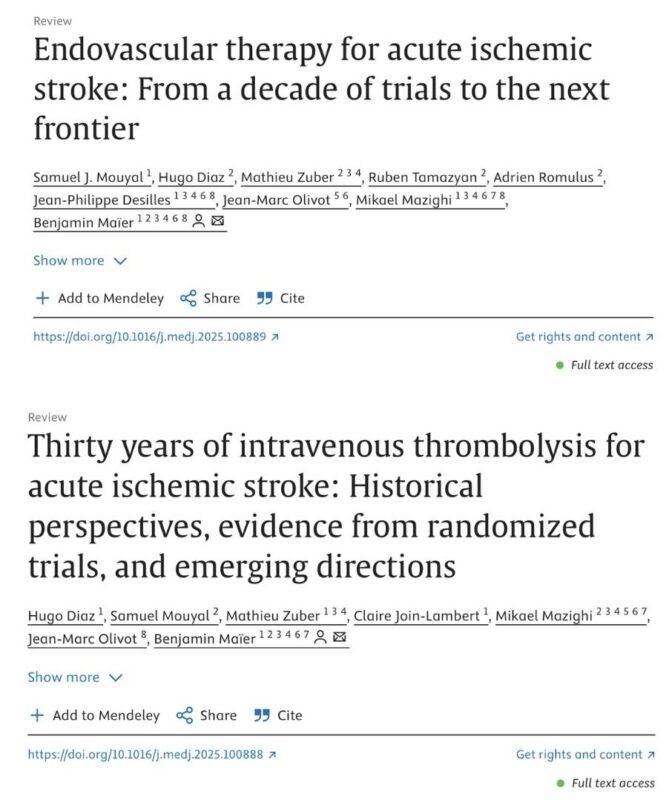 Insights on IV Thrombolysis and Mechanical Thrombectomy from Benjamin Maier and Colleagues