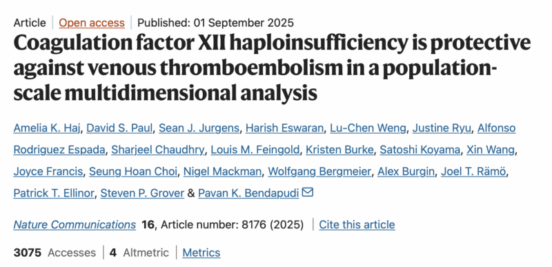 Nature Communications Study by Amelia Haj and Colleagues Identifies Factor XII as a Safer Target for Anticoagulation