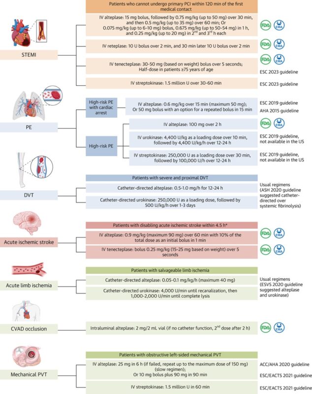 Sina Rashedi on Fibrinolytic Therapies in Different Thromboembolic Diseases