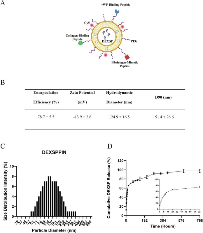 Anirban Sen Gupta and Andrew Shoffstall Collaboration on Bioinspired Synthetic Platelet Systems for Brain Injury Treatment