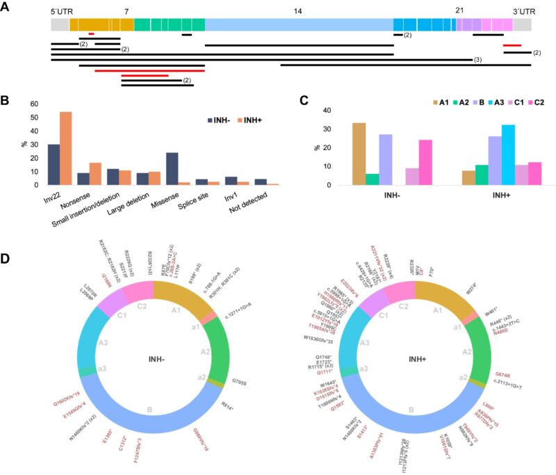 Luciana Werneck Zuccherato and Colleagues on A3 domain of FVIII in Severe Hemophilia A