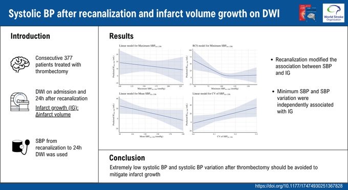 Yuki Sakamoto and Colleagues Share Insights on Infarct Growth After Successful Mechanical Thrombectomy