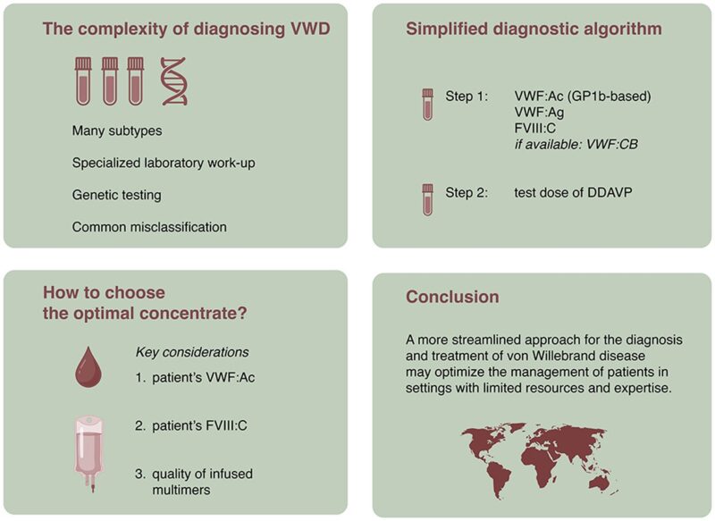 Quentin Van Thillo Shares His Latest Article on VWD: Grateful to Have Worked with Cedric Hermans 