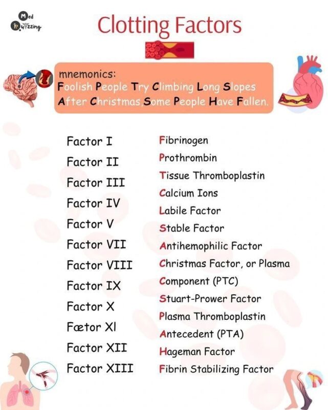 Mohamed Reda: Clotting Factors — The Key Players in Blood Coagulation