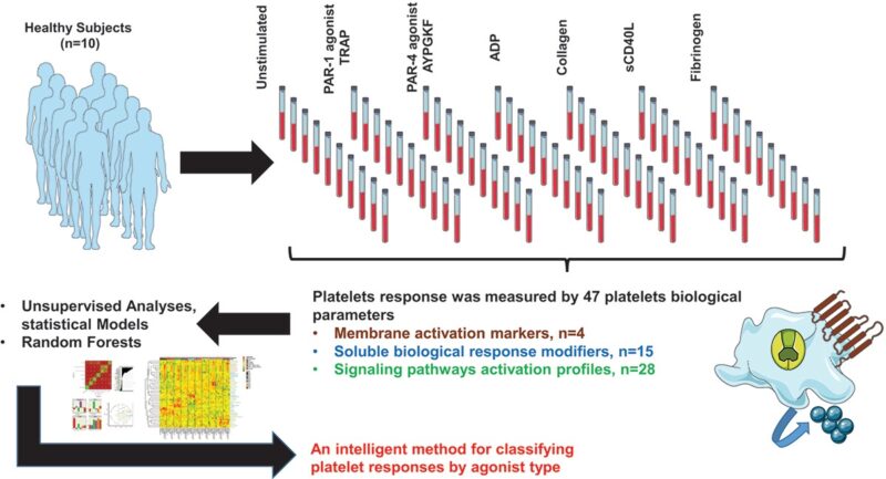Fabrice Cognasse: When Platelets Meet Artificial Intelligence!