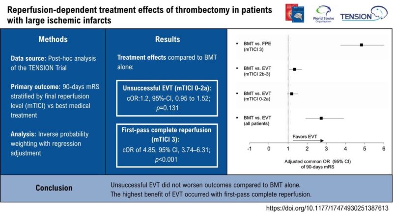 Lukas Meyer and Colleagues on Reperfusion-dependent Treatment Effects of Thrombectomy in Large Ischemic Infarcts