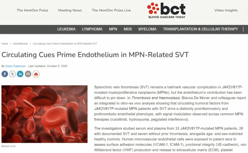 Blanca De Moner Rafel