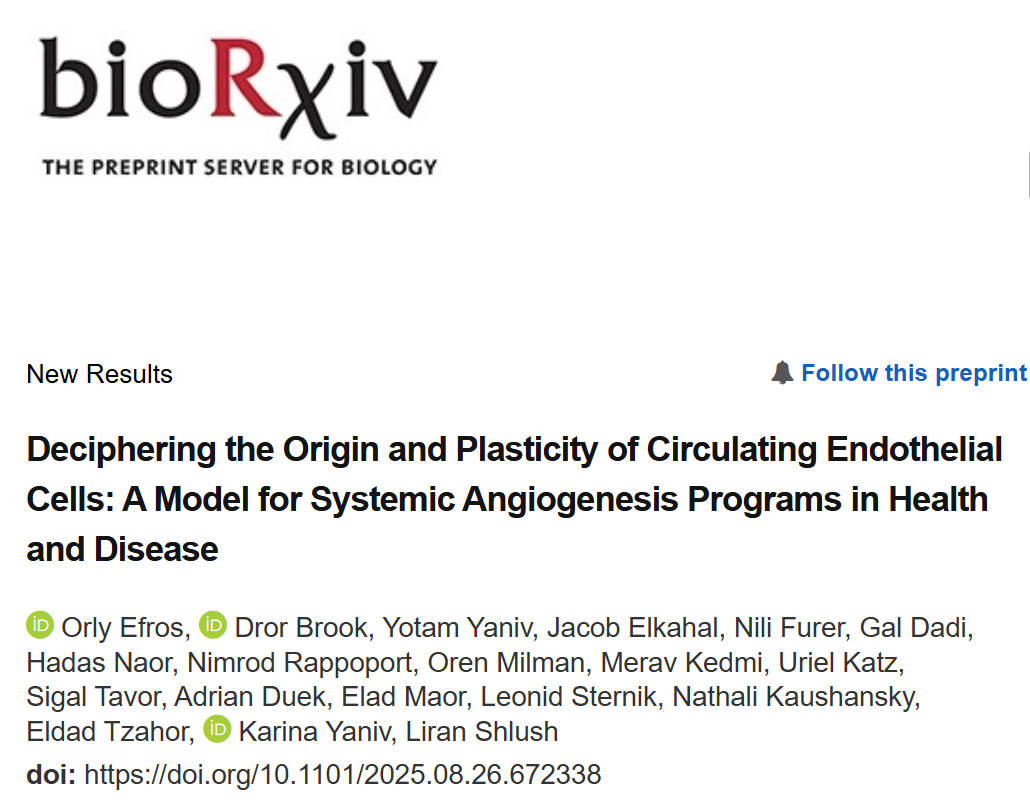 Orly Efros: Excited to Share a Major Milestone From My PhD at the Weizmann Institute of Science