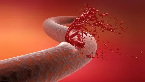 Sara Ayoub (Sadek): How Your Body Magically Stops a Paper Cut from Bleeding? – The Five Acts of Hemostasis