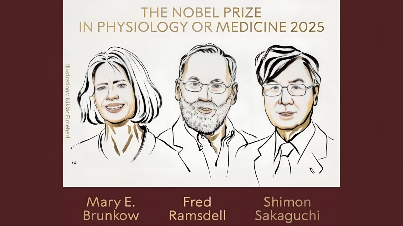 2025 Nobel Prize: A Milestone for Autoimmunity Research – Awarded to Mary E. Brunkow, Fred Ramsdell and Shimon Sakaguchi