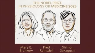 2025 Nobel Prize: A Milestone for Autoimmunity Research - Awarded to Mary E. Brunkow, Fred Ramsdell and Shimon Sakaguchi