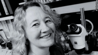 Carol Greider: The Christmas Day Discovery of Telomerase