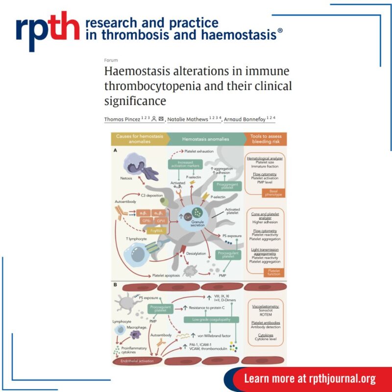 Thomas Pincez and Colleagues on Alterations in ITP 1 Thomas Pincez and Colleagues on Alterations in ITP
