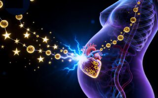 Fetal Stem Cells Repair Mother’s Heart - Xerxes Wennerstierna on the Miraculous Science of Pregnancy