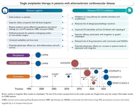 Ahmed Bennis on Potential Use of P2Y12 Inhibitors as Safer Alternative in Monotherapy